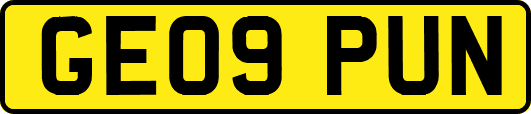 GE09PUN