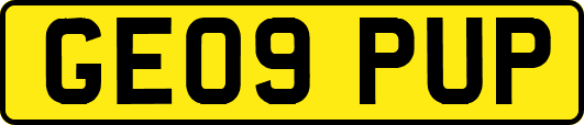 GE09PUP