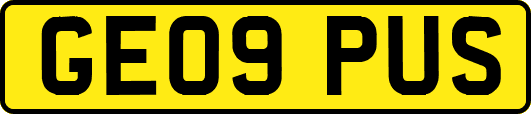 GE09PUS