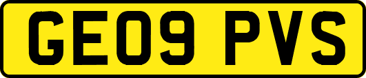 GE09PVS