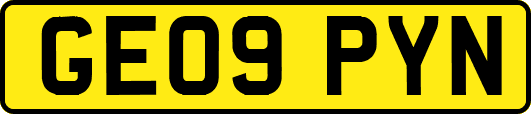 GE09PYN