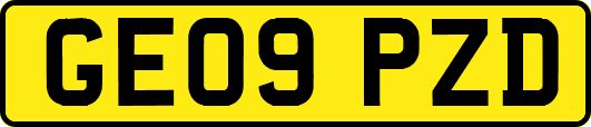 GE09PZD