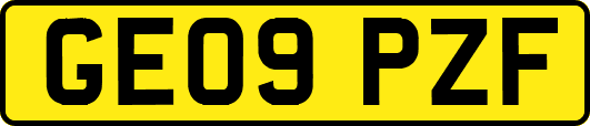 GE09PZF