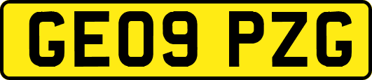 GE09PZG