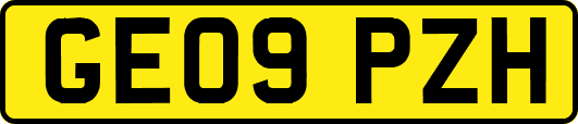 GE09PZH