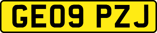 GE09PZJ