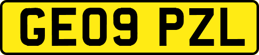GE09PZL
