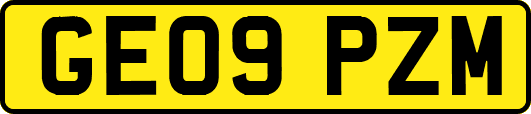 GE09PZM