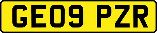 GE09PZR