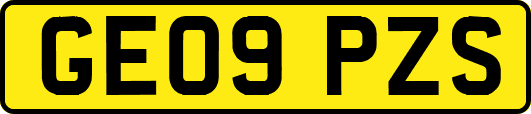 GE09PZS