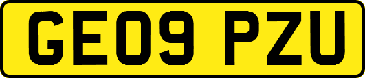 GE09PZU