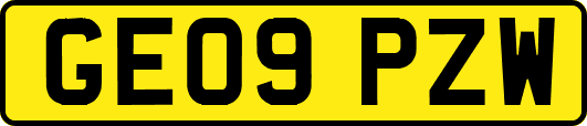 GE09PZW