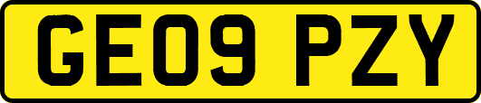 GE09PZY