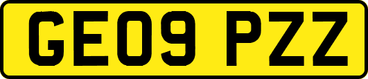 GE09PZZ