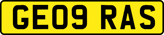 GE09RAS
