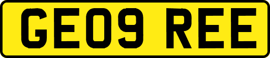GE09REE