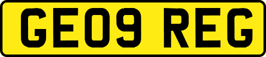 GE09REG