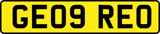 GE09REO
