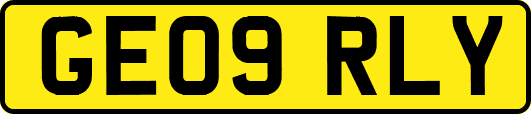 GE09RLY