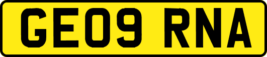 GE09RNA