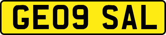 GE09SAL