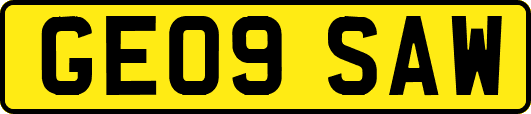 GE09SAW