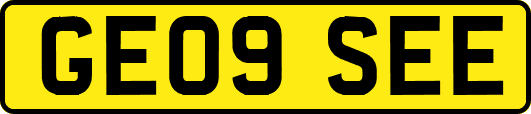 GE09SEE