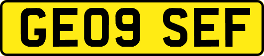 GE09SEF