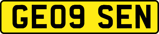 GE09SEN