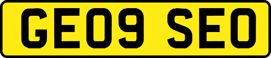 GE09SEO