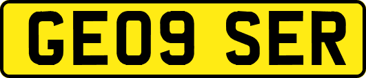 GE09SER