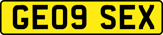 GE09SEX