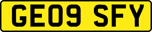 GE09SFY