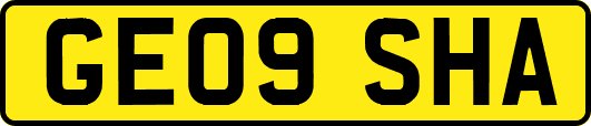 GE09SHA