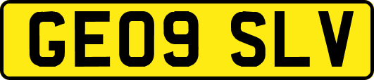 GE09SLV