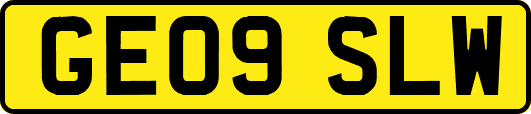 GE09SLW