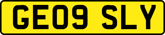 GE09SLY