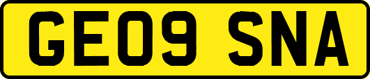 GE09SNA