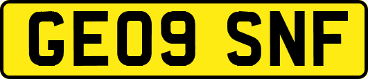 GE09SNF