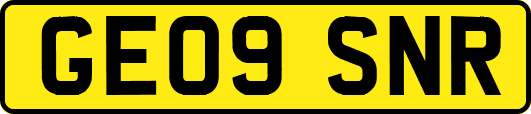GE09SNR