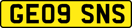 GE09SNS