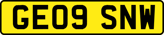 GE09SNW