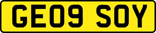GE09SOY