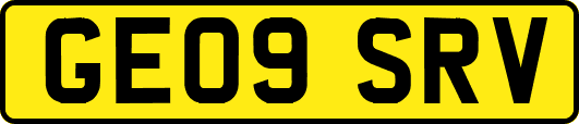 GE09SRV