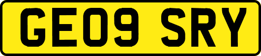 GE09SRY