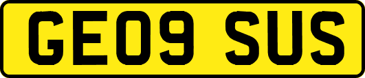 GE09SUS