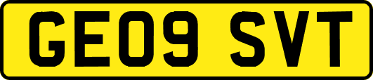 GE09SVT