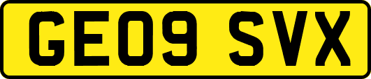 GE09SVX