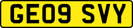 GE09SVY