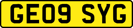 GE09SYG